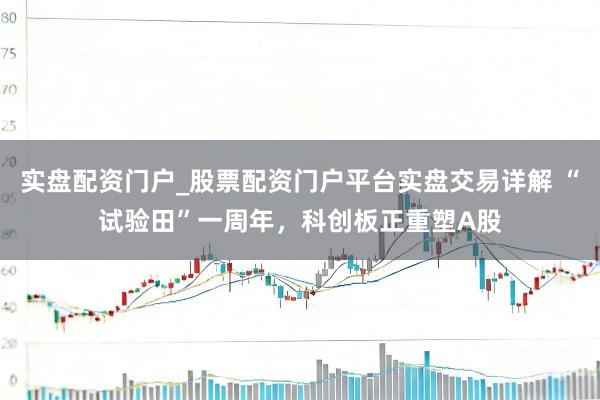 实盘配资门户_股票配资门户平台实盘交易详解 “试验田”一周年，科创板正重塑A股