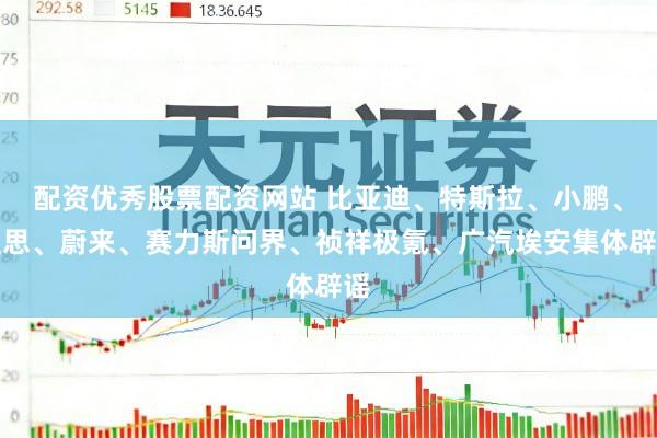 配资优秀股票配资网站 比亚迪、特斯拉、小鹏、理思、蔚来、赛力斯问界、祯祥极氪、广汽埃安集体辟谣